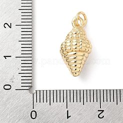Messing Anhänger & Charms&nbsp;KK-L239-055G-03