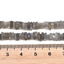 Natur Labradorit Perlen Stränge&nbsp;G-Z152-F04-02