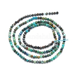 Natur Chrysokoll Perlen Stränge&nbsp;G-P457-A01-03