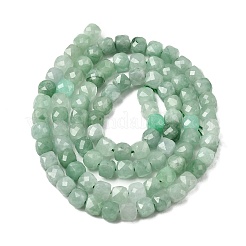 Natürliche jadeite Perlen Stränge&nbsp;G-P603-B01-01