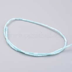 Conchiglia naturale fili di perle&nbsp;BSHE-P017-01