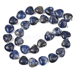 Chapelets de perles en sodalite naturelle&nbsp;G-B022-36C-A