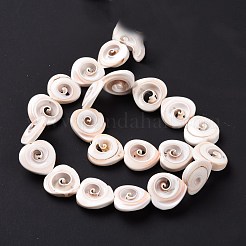 Natürlichen Spiralmuschelperlen Stränge&nbsp;SSHEL-G023-06