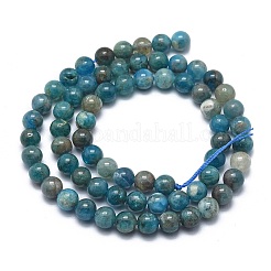 Chapelets de perles en apatite naturelle&nbsp;LS-G-I254-08B