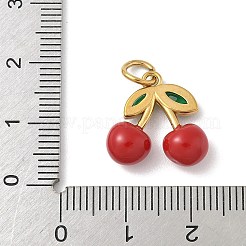 Pendentifs en acier inoxydable 304 émaillé&nbsp;STAS-I349-01G-05
