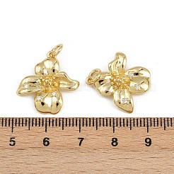 Colgante micropavé cubic zirconia de latón&nbsp;KK-A269-49G