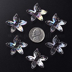 Abalorios de acrílico transparentes&nbsp;LS-MACR-S373-102-C02
