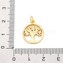 Pendentifs avec zircon cubiques à micro-pavés en laiton&nbsp;KK-D325-57G-01