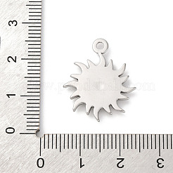 Ozean Thema 304 Edelstahl Anhänger&nbsp;STAS-D362-06P-04
