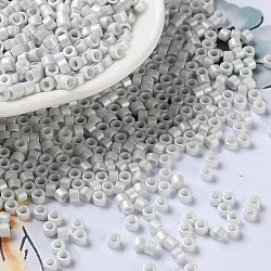 Granos de semilla de vidrio de pintura para hornear, cilindro, whitesmoke, 2.5x2mm, agujero: 1.4 mm, aproximamente 45359 unidades / libra