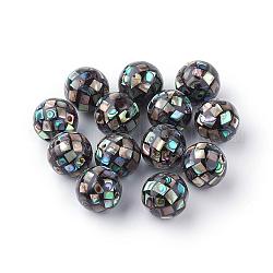 Perles de coquillage paua naturel, ronde, noir, 12~12.5mm, Trou: 1mm