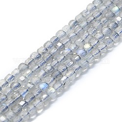 Chapelets de perles en labradorite naturelle , facette, cube, 2x2x2mm, Trou: 0.6mm, Environ 182 pcs/chapelet, 15.16''~15.55'' (38.5~39.5 cm)