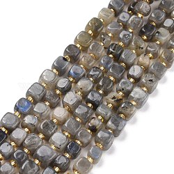 Natural Labradorite Beads Strands, with Seed Beads, Square, 6~7x6~7x6~7mm, Hole: 1mm, about 45pcs/strand, 15.16 inch(38.5cm)~15.83 inch(40.2cm)