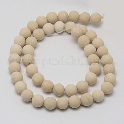 Perles en fossile naturelle, mat, ronde, 10mm, Trou: 1mm, Environ 38 pcs/chapelet, 14.9 pouce
