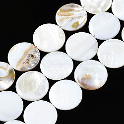 Eau douce naturelle de coquillage perles brins, plat rond, couleur de coquillage, 25x25x3mm, Trou: 1mm, Environ 16 pcs/chapelet, 15.20~15.55 pouce (38.6~39.5 cm)