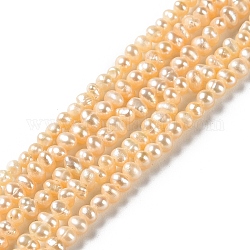 Fili di perle di perle d'acqua dolce coltivate naturali, patata, grado 3 un, peachpuff, 2~3x2.5~4mm, Foro: 0.5 mm, circa 128pcs/filo, 14.13~14.33 pollice (35.9~36.4 cm)