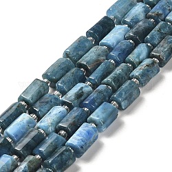 Perline apatite naturale fili, con perline semi, sfaccettato, colonna, 8.5~11x5.5~6.5mm, Foro: 1 mm, circa 14~15pcs/filo, 7.48'' (19 cm)