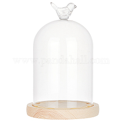 Nbeads cloche eterna con cupola in vetro 12.19×19.05cm, Cloche trasparente campana di vetro terrario uccello display in vetro copertura a cupola con base in legno per lucine fai da te fiori conservati decorazioni regalo artigianato