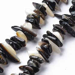 Brins de perles de coquille de lèvre noire naturelle, chips de pépites, noir, 4~22x3~10x0.5~5mm, Trou: 1mm, Environ 79~82 pcs/chapelet, 6.89 pouce (17.5 cm)
