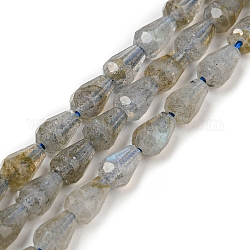 Perline labradorite naturale fili, sfaccettato, lacrima, 5.5~8.3x4.1~4.35mm, Foro: 0.5 mm, circa 58pcs/filo, 15.43~15.55 pollice (39.2~39.5 cm)