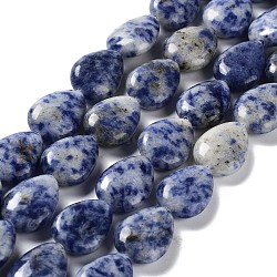 Natural Blue Spot Jasper Beads Strands, Teardrop, 17.5~18x13x6mm, Hole: 1.2mm, about 22pcs/strand, 15.24 inch(38.7cm)