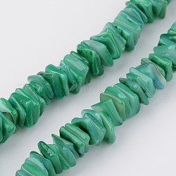 Hebras de perlas shell naturales, teñido, cuentas cuadradas de heishi, verde mar, 8x8x1~5mm, agujero: 1 mm, aproximamente 200 pcs / cadena, 15.7 pulgada