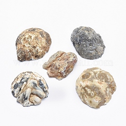 Perle di agata geode naturale, Senza Buco / undrilled, pepite, 33~34x23~35x9~15mm