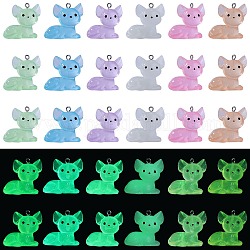 30 Stück 6 Farben leuchtende transparente Harzanhänger, Im Dunkeln leuchtende 3D-Katzenanhänger, mit 304 Edelstahlschlaufen, Mischfarbe, 27x27x17.5 mm, Bohrung: 2 mm, 5 Stk. je Farbe
