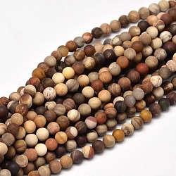 Givrées bois pétrifié naturel rondes brins de perles, 10mm, Trou: 1mm, Environ 37 pcs/chapelet, 15 pouce