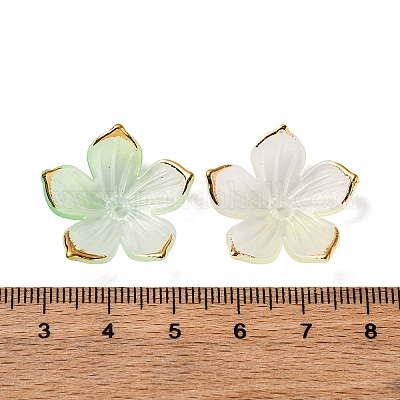 Transparentes bouchons acrylique de perles&nbsp;TACR-P011-03A-1
