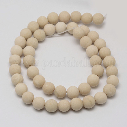 Perles en fossile naturelle G-D694-10mm-1