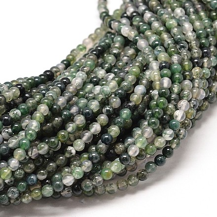 Agate mousse naturelle chapelets de perles rondes X-G-P072-01-4mm-1