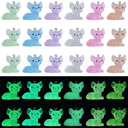 30 個 6 色の蓄光透明樹脂ペンダント  暗闇で光る3D猫チャーム  304ステンレス鋼ループ  ミックスカラー  27x27x17.5mm  穴：2mm  5個/カラー RESI-SZ0003-40-1
