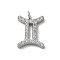 304 Stainless Steel Micro Pave Cubic Zirconia Charms, Constellation, Gemini, 13x9x2mm, Hole: 1.8mm