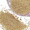 FINGERINSPIRE 12/0 Golden Plated Spacer Beads 2mm 16500pcs Smooth Round Seed Beads Rondelle Loose Beads for Jewelry Making, Crafting