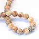 Frosted Natural Picture Jasper Round Bead Strands G-E334-10mm-26-3