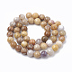 Natural Fossil Coral Beads Strands G-T104-07-2
