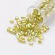 11/0 Two Cut Round Hole Glass Seed Beads SEED-G006-2mm-648-1
