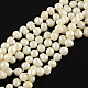 Pearl Beaded Two Tiered Necklaces NJEW-Q282-14-3