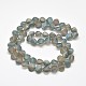 Frosted Electroplate Glass Shell Beads Strands EGLA-M002-B02-2