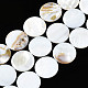 Eau douce naturelle de coquillage perles brins SHEL-Q024-006-1