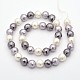 Round Shell Pearl Bead Strands BSHE-M009-8mm-10-2