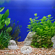 8Pcs 2 Style Transparent Acrylic Aquarium Shrimp Feeding Dishes AJEW-GO0001-01-7
