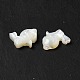 Shell perle bianche naturali BSHE-E026-08-4