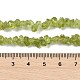 Natürlichen Peridot Perlen Stränge&nbsp;G-P332-48-01-3