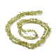 Perline peridoto naturale fili G-P332-48-01-2