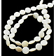 Natural Shell Beads Strands X-PBB-XXBK024Y-13-2