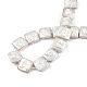 Plating Natural Freshwater Shell Beads Strands SHEL-N026-230A-4