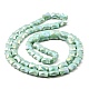 Fili di perle di vetro lastra di colore ab EGLA-P051-06A-B09-3