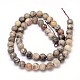 Natural Fossil Coral Round Bead Strands G-O094-08-10mm-3